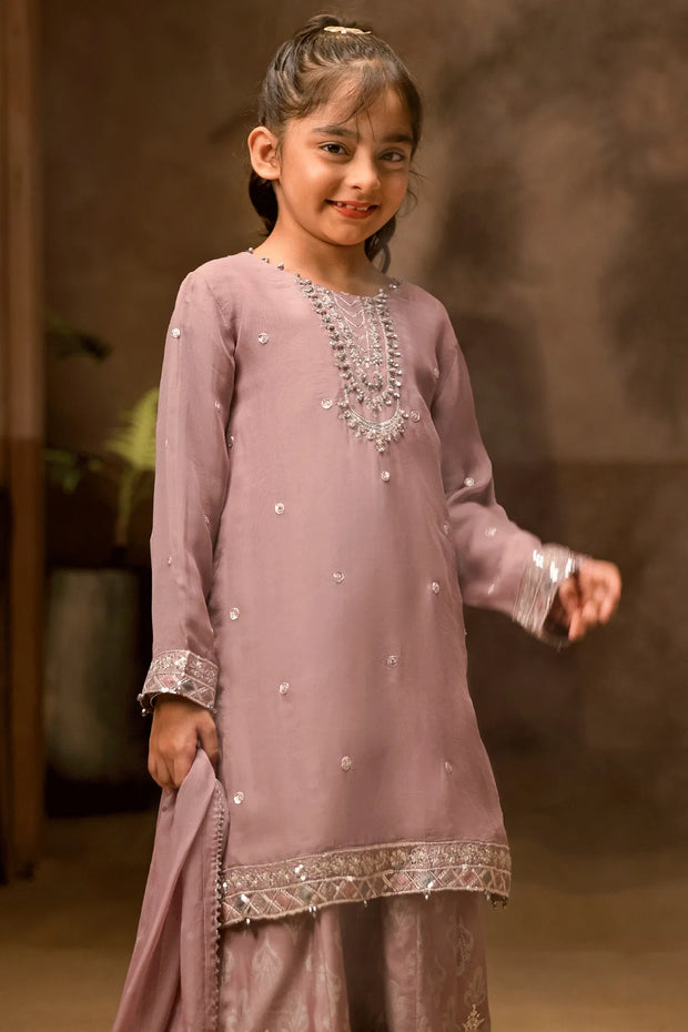 Rafia Chiffon - Occasions - N2437
