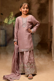Rafia Chiffon - Occasions - N2437