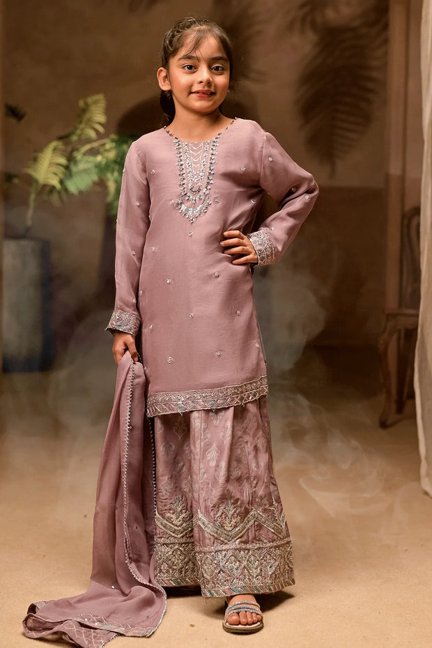 Rafia Chiffon - Occasions - N2437