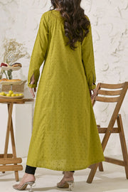 Rafia Seasonal Kurti - CTNK30