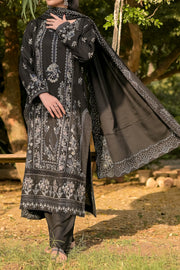 Rafia Dhanak Pret - DH11