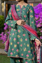 Rafia Luxury Lawn - DPC387