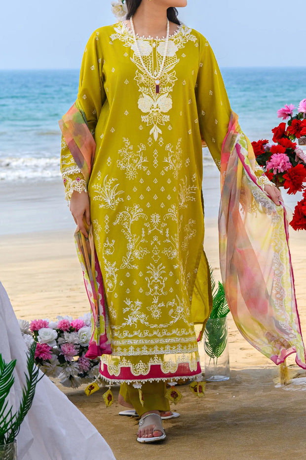 Rafia Luxury Lawn - DPC388