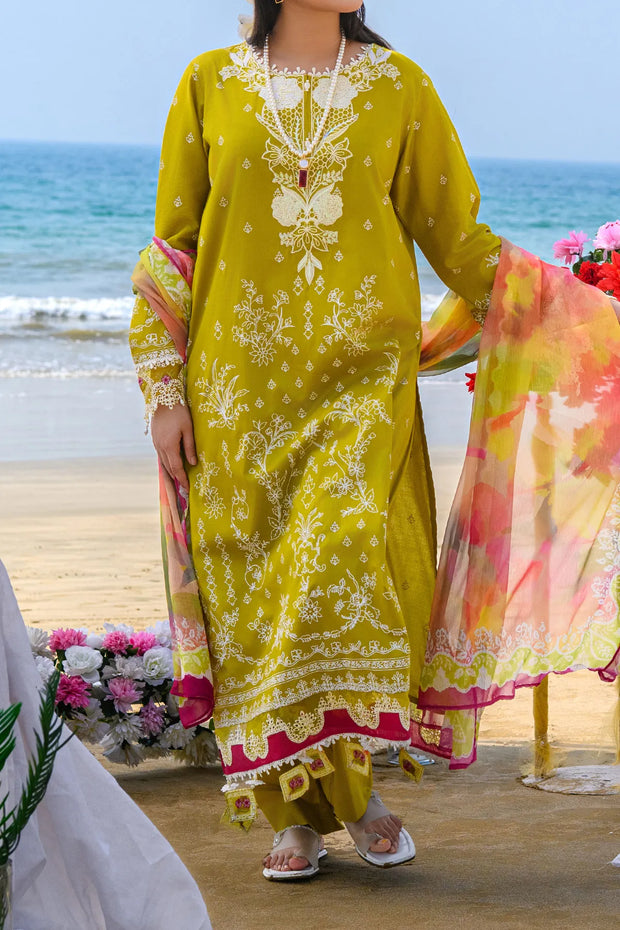 Rafia Luxury Lawn - DPC388