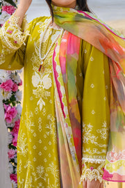 Rafia Luxury Lawn - DPC388