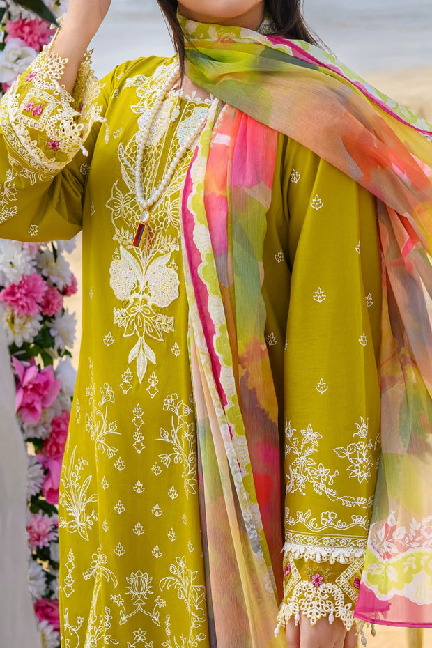 Rafia Luxury Lawn - DPC388