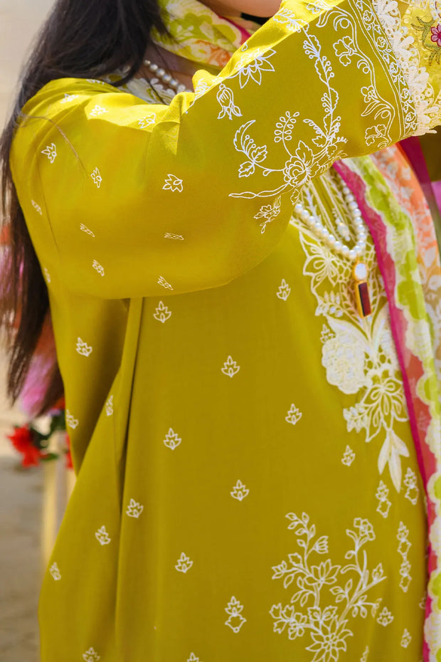 Rafia Luxury Lawn - DPC388
