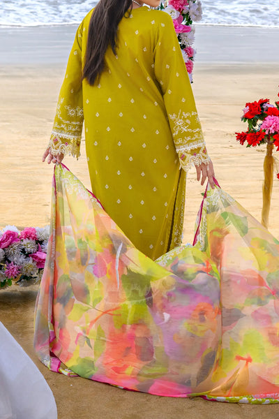 Rafia Luxury Lawn - DPC388