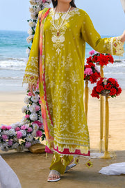 Rafia Luxury Lawn - DPC388