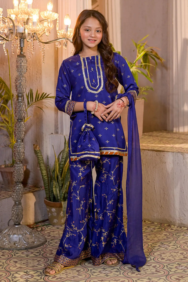 Rafia Luxury Pret (Child) - DPCH74