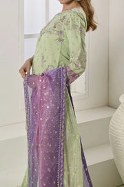 Rafia Chiffon - Occasions - N2422