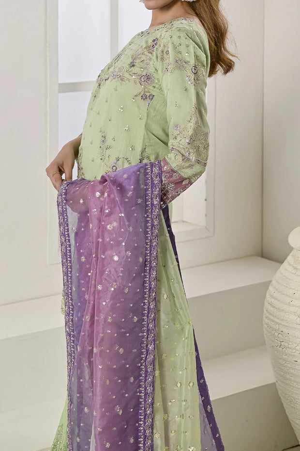 Rafia Chiffon - Occasions - N2422