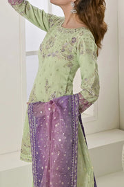 Rafia Chiffon - Occasions - N2422