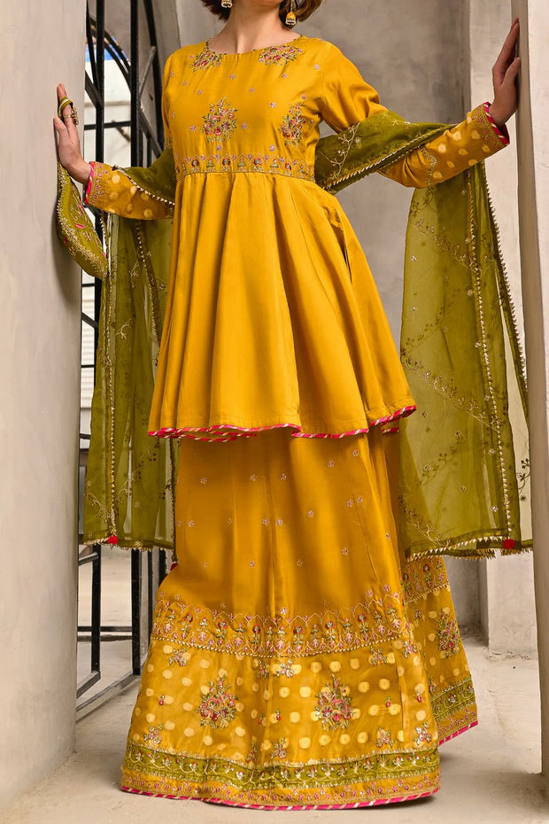 Rafia Chiffon - Occasions - N2453