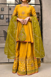 Rafia Chiffon - Occasions - N2453