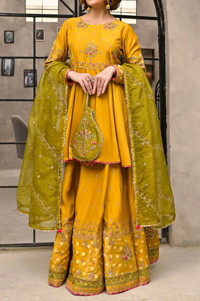 Rafia Chiffon - Occasions - N2453