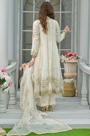 Rafia Chiffon - Occasions - N2454