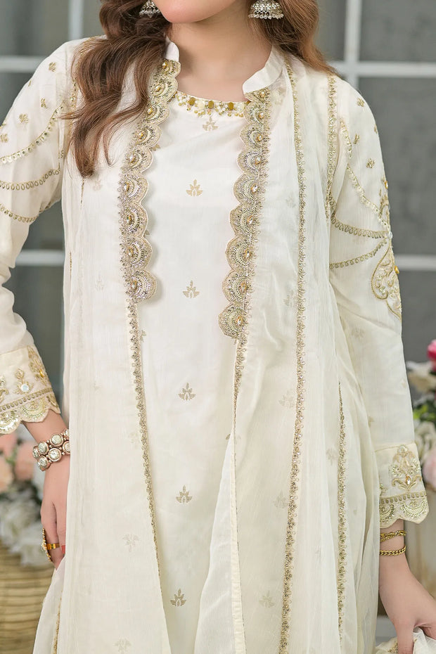 Rafia Chiffon - Occasions - N2454