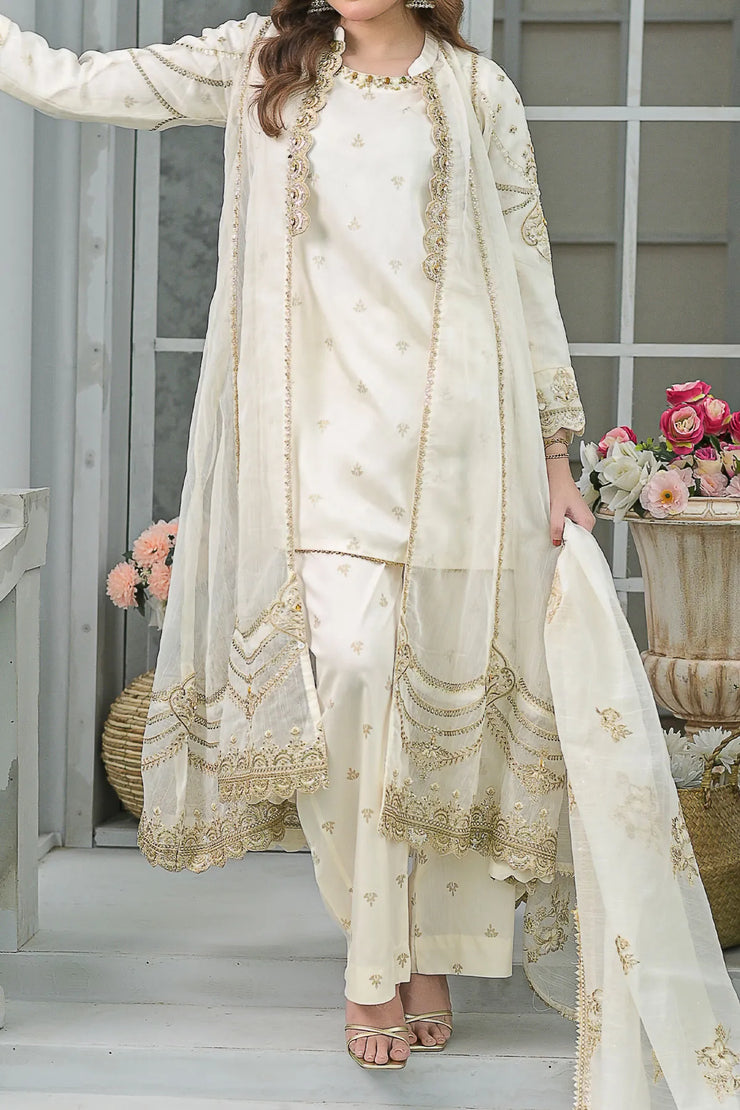 Rafia Chiffon - Occasions - N2454