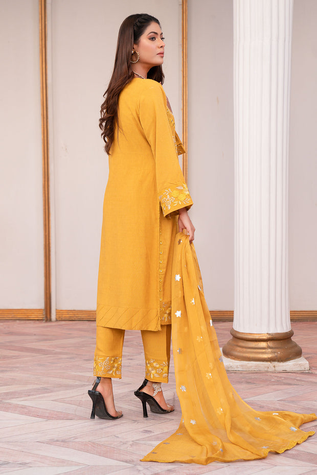 Winter Silk Karandi - Imhal ZOSK:03