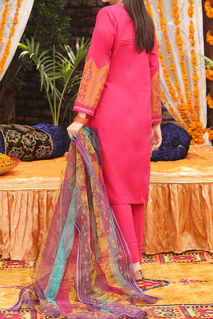 Rafia Fancy Jacquard ‘22 - FJ167