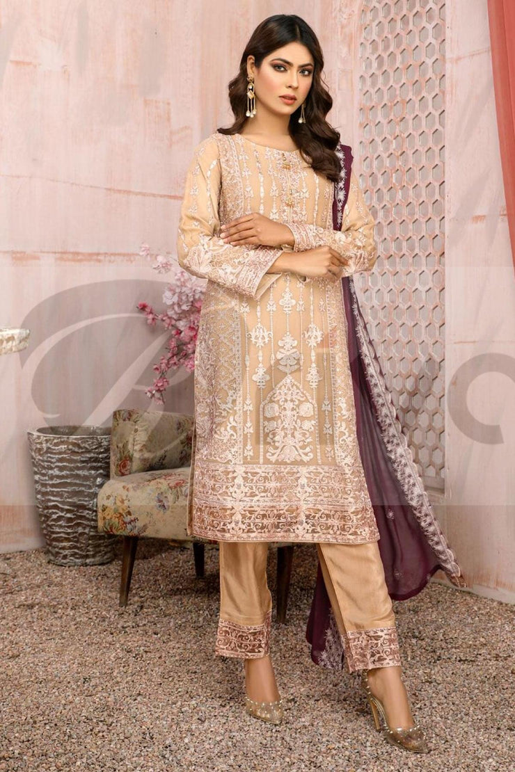 Anmol Chiffon - Looms D22:005-chiffon salwar kameez uk